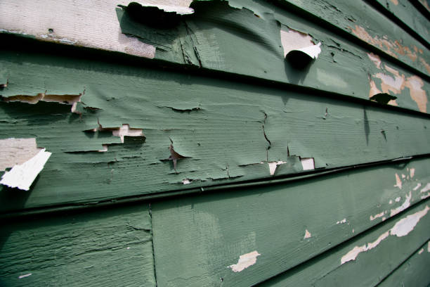 Professional Siding Installation & Repair in Munford, AL