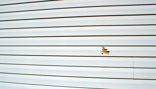 Affordable siding repair and maintenance services in Munford, AL