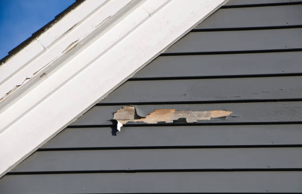 Best Wood Siding Installation  in Munford, AL